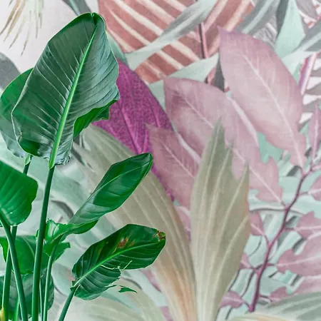 Pigalle Lido di Jesolo